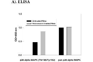 Image no. 4 for Mitogen-Activated Protein Kinase 14 (MAPK14) ELISA Kit (ABIN625229) (MAPK14 ELISA Kit)