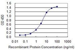 Detection limit for recombinant GST tagged TG is 0. (Thyroglobulin Antikörper  (AA 2659-2768))