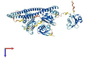 PIK3R2 Protein (AA 1-728) (His tag)