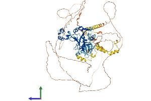 Protein Structure (PS) image for Oxidation Resistance 1 (OXR1) (AA 1-866) protein (His tag) (ABIN7557391)