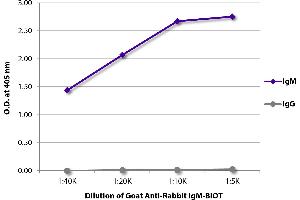 ELISA plate was coated with purified rabbit IgM and IgG. (Ziege anti-Kaninchen IgM (Heavy Chain) Antikörper (Biotin))