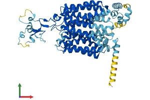 AlphaFold protein structure predicition of Human Recombinant SLC22A11 Protein, UniprotID Q9NSA0