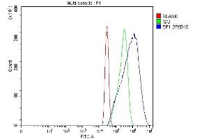 Flow Cytometry analysis of A431 cells using anti-splicing factor 1 antibody (ABIN7600193).