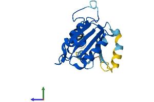 Protein Structure (PS) image for SAR1 Homolog A (SAR1A) (AA 1-198) protein (His tag) (ABIN7551691)