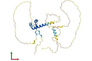 Protein Structure (PS) image for Paired-Like Homeodomain 1 (PITX1) (AA 1-314) protein (His tag) (ABIN7550848)