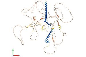 AlphaFold protein structure predicition of Human Recombinant C10orf90 Protein, UniprotID Q96M02