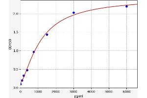 WISP3 ELISA Kit