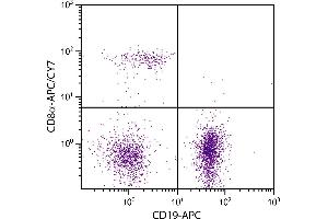 BALB/c mouse splenocytes were stained with Rat Anti-Mouse CD8α-APC/CY7. (CD8 alpha Antikörper  (APC-Cy7))