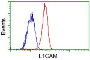 Flow cytometric Analysis of Jurkat cells, using anti-L1CAM antibody (ABIN2453219), (Red), compared to a nonspecific negative control antibody (ABIN2453219), (Blue). (L1CAM Antikörper)