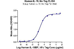 Immobilized Human IL-18 at 5 μg/mL (100 μL/Well) on the plate. (IL-18 Protein)
