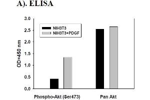 Image no. 2 for V-Akt Murine Thymoma Viral Oncogene Homolog 1 (AKT1) ELISA Kit (ABIN1981778) (AKT1 ELISA Kit)