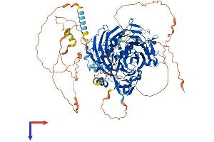 GTF3C2 Protein (AA 1-911) (His tag)