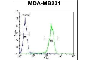 Flow Cytometry (FACS) image for anti-Myb-Like, SWIRM and MPN Domains 1 (MYSM1) (AA 111-139), (N-Term) antibody (ABIN654474)