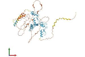 Protein Structure (PS) image for FEZ Family Zinc Finger 1 (FEZF1) (AA 1-475) protein (His tag) (ABIN7556951)