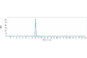 The purity of Anti-TYRO3 Reference Antibody (ELB031) is more than 95 % , determined by SEC-HPLC. (Rekombinanter TYRO3 Antikörper)