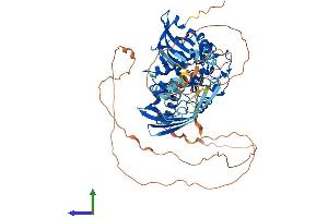 AlphaFold protein structure predicition of Human Recombinant CAMK2B Protein, UniprotID Q13554