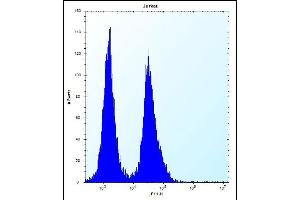 SNIP1 Antibody (N-term) (ABIN656183 and ABIN2845511) flow cytometric analysis of Jurkat cells (right histogram) compared to a negative control cell (left histogram).