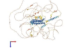 DLGAP4 Protein (AA 1-992) (His tag)