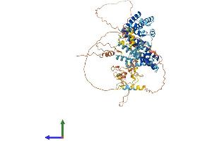Protein Structure (PS) image for LAS1-Like (LAS1L) (AA 1-734) protein (His tag) (ABIN7554405)