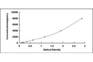 SOD3 ELISA Kit