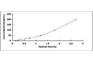 Typical standard curve
