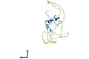 Protein Structure (PS) image for CXXC Finger Protein 4 (CXXC4) (AA 1-198) protein (His tag) (ABIN7546877)
