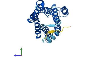 Protein Structure (PS) image for KDEL (Lys-Asp-Glu-Leu) Endoplasmic Reticulum Protein Retention Receptor 3 (kDELR3) (AA 1-214) protein (His tag) (ABIN7559673)