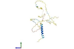 Protein Structure (PS) image for Linker For Activation of T Cells (LAT) (AA 1-242) protein (His tag) (ABIN7562455)
