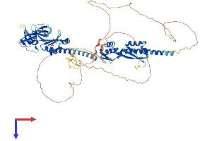 FXR2 Protein (AA 1-673) (His tag)