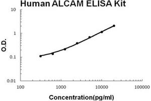 Human ALCAM Accusignal ELISA Kit Human ALCAM AccuSignal ELISA Kit standard curve.