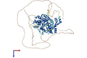 DDX4 Protein (AA 1-724) (His tag)