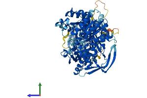 Protein Structure (PS) image for Carnosine Synthase 1 (CARNS1) (AA 1-827) protein (His tag) (ABIN7558141)