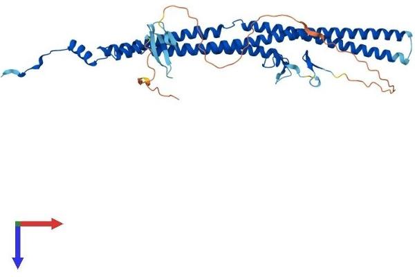 GAS7 Protein (AA 1-421) (His tag)