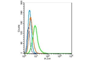 RSC96 cells probed with	PCDH20 Polyclonal Antibody, Unconjugated  at 1:100 for 30 minutes followed by incubation with a conjugated secondary (PE Conjugated) (green) for 30 minutes compared to control cells (blue), secondary only (light blue) and isotype control (orange). (PCDH20 Antikörper  (AA 611-710))