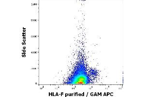 Flow cytometry surface staining pattern of human PMA + Ionomycin stimulated peripheral blood mononuclear cells stained using anti-human MICA/MICB (6D4) purified antibody (concentration in sample 5 μg/mL, GAM APC). (HLA-F Antikörper)