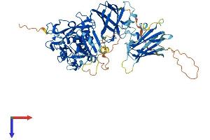 CAPN10 Protein (AA 1-666) (His tag)