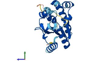 Protein Structure (PS) image for IdnK Gluconokinase Homolog (IDNK) (AA 1-187) protein (His tag) (ABIN7548144)