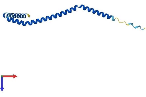 MEF2BNB Protein (AA 1-119) (His tag)