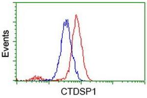 Image no. 2 for anti-CTD (Carboxy-terminal Domain, RNA Polymerase II, Polypeptide A) Small Phosphatase 1 (CTDSP1) antibody (ABIN1497676)