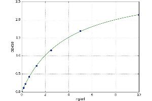 A typical standard curve