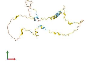 Protein Structure (PS) image for MAP6 Domain Containing 1 (MAP6D1) (AA 1-199) protein (His tag) (ABIN7549189)