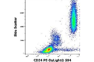 Flow cytometry surface staining pattern of human peripheral whole blood stained using anti-human CD24 (SN3) PE-DyLight® 594 antibody (4 μL reagent / 100 μL of peripheral whole blood).