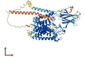 Protein Structure (PS) image for Heparan-alpha-Glucosaminide N-Acetyltransferase (HGSNAT) (AA 1-663) protein (His tag) (ABIN7554102)