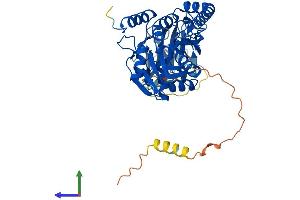 AlphaFold protein structure predicition of Human Recombinant B3GALNT2 Protein, UniprotID Q8NCR0
