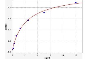 Matrix Metallopeptidase 17 (Membrane-inserted) (MMP17) ELISA Kit
