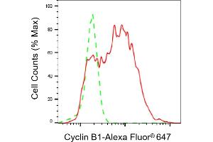Flow cytometric analysis of Cyclin B1 expression in HepG2 cells using Cyclin B1 antibody (ABIN7798188), 1:2,000). (Rekombinanter Cyclin B1 Antikörper)