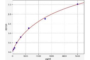 CLN3 ELISA Kit