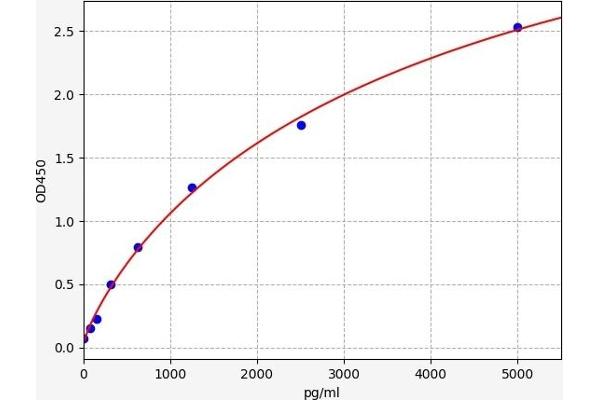 CLN3 ELISA Kit