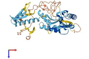 ASCC1 Protein (AA 1-400) (His tag)