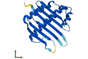 Protein Structure (PS) image for Mago-Nashi Homolog (MAGOH) (AA 1-146) protein (His tag) (ABIN7563493)